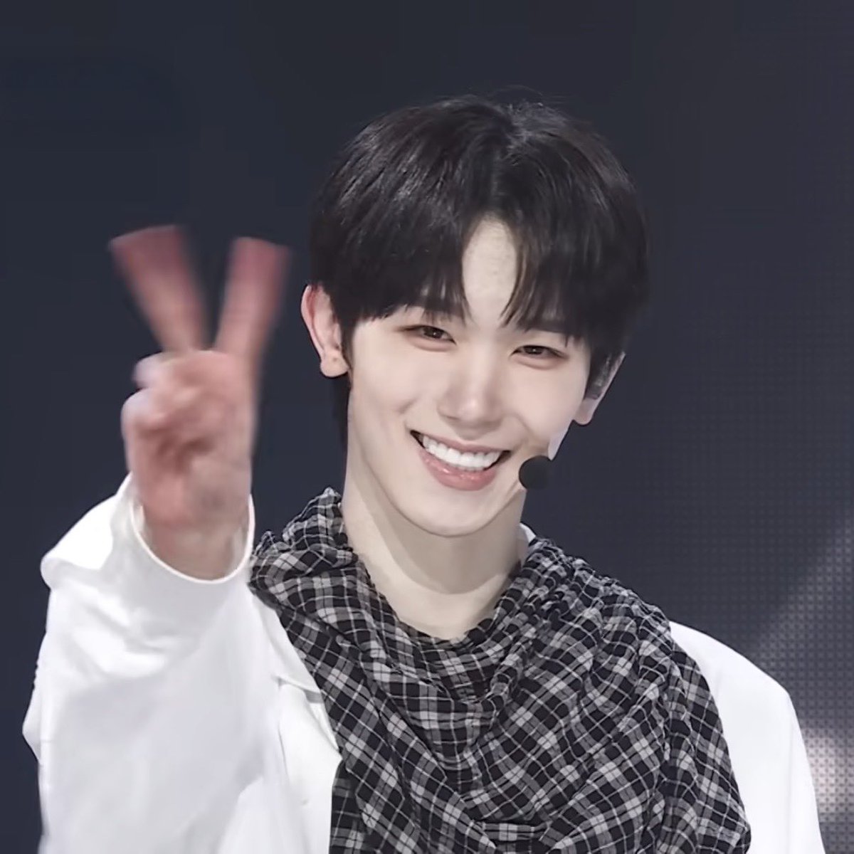 냥이 tweet media
