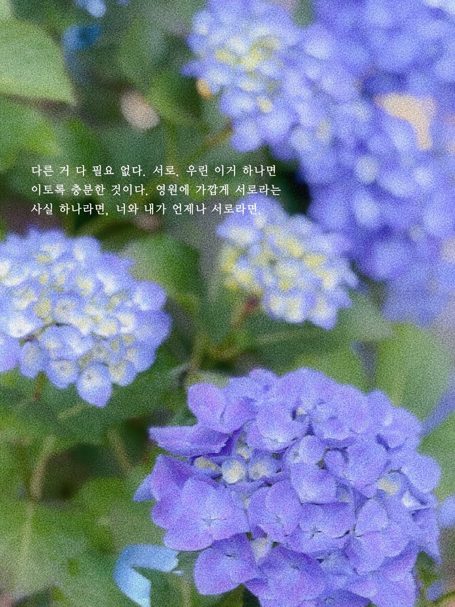 나의 주인, 나의 사랑, 나만의 여정아.
나의 세상이 되어준 당신을 사랑하고 있어.
그리고 또 사랑할게. 영원토록.