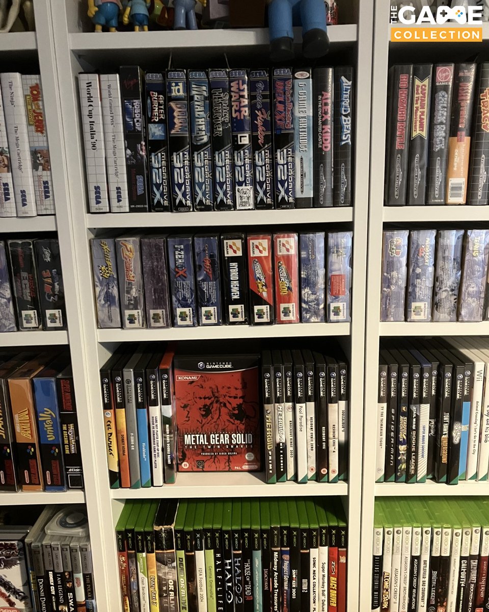 The Game Collection tweet media