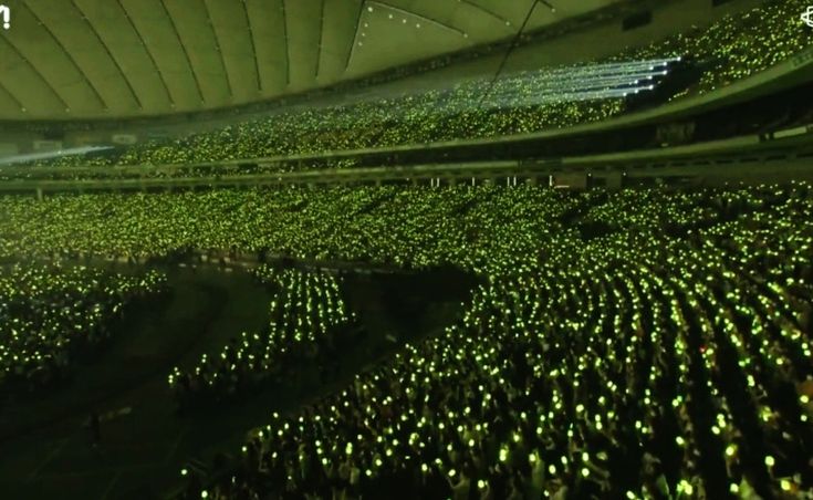 메이 tweet media