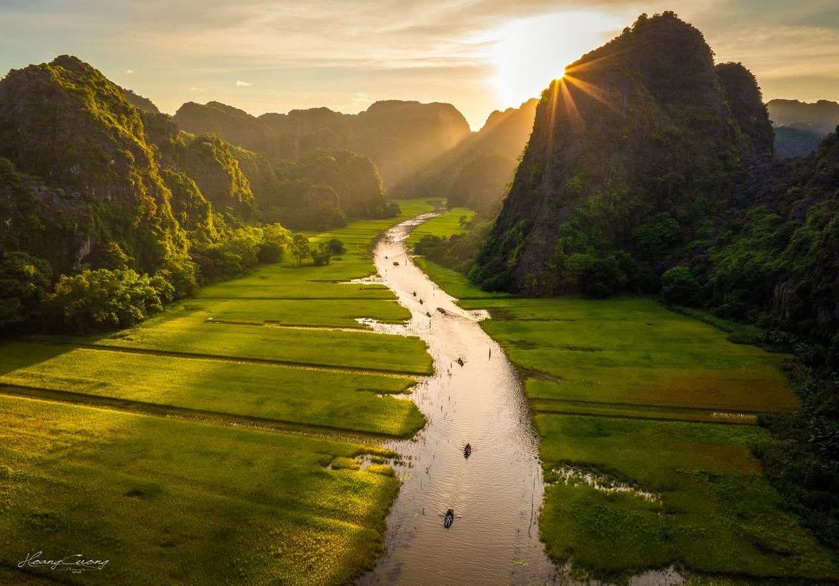 TÙNG SƠN tweet media