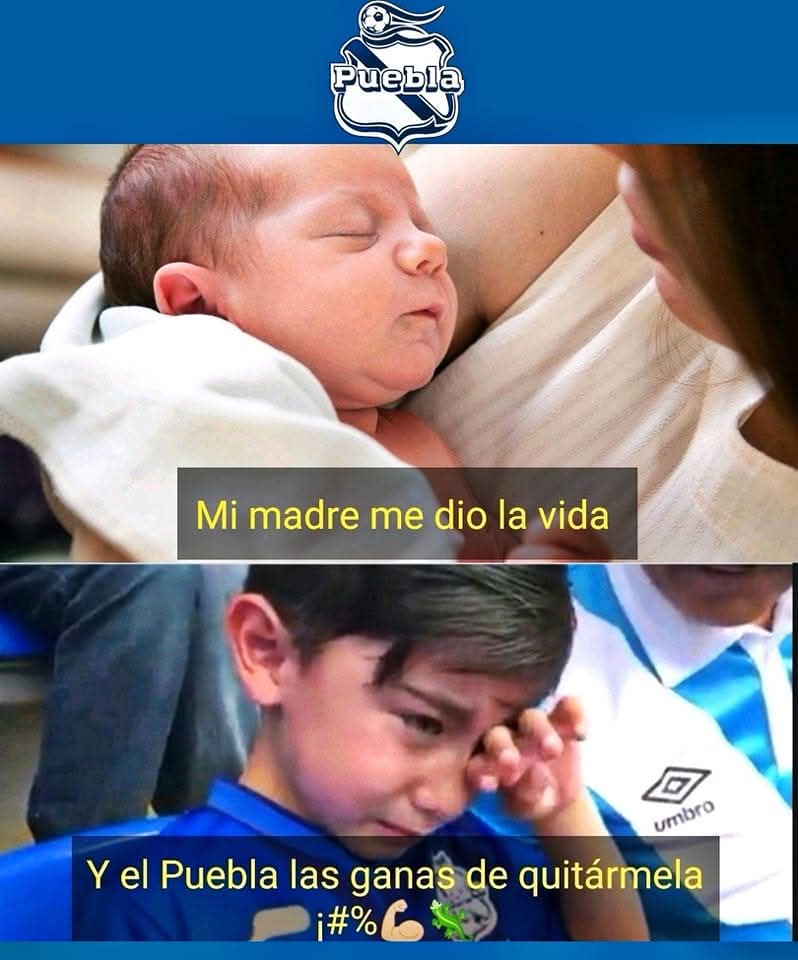 El franja tweet media