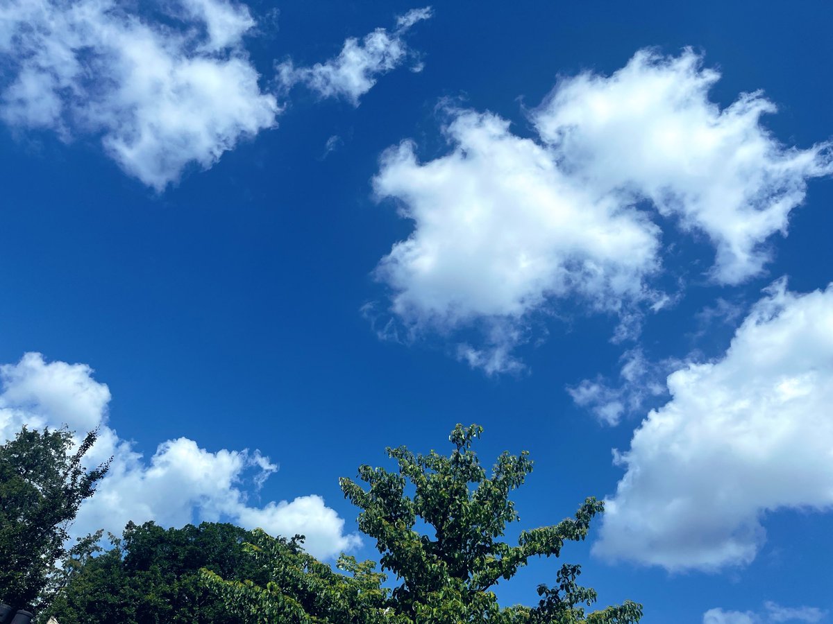 奥村 真由 tweet media