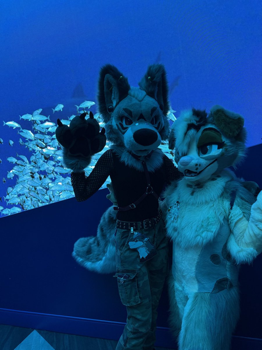 JinxTheAussie's tweet photo. Aquarium at FWA was so fun!🐠
Thanks for the fun photos friendly furs! https://t.co/Z7X1B0M1z0