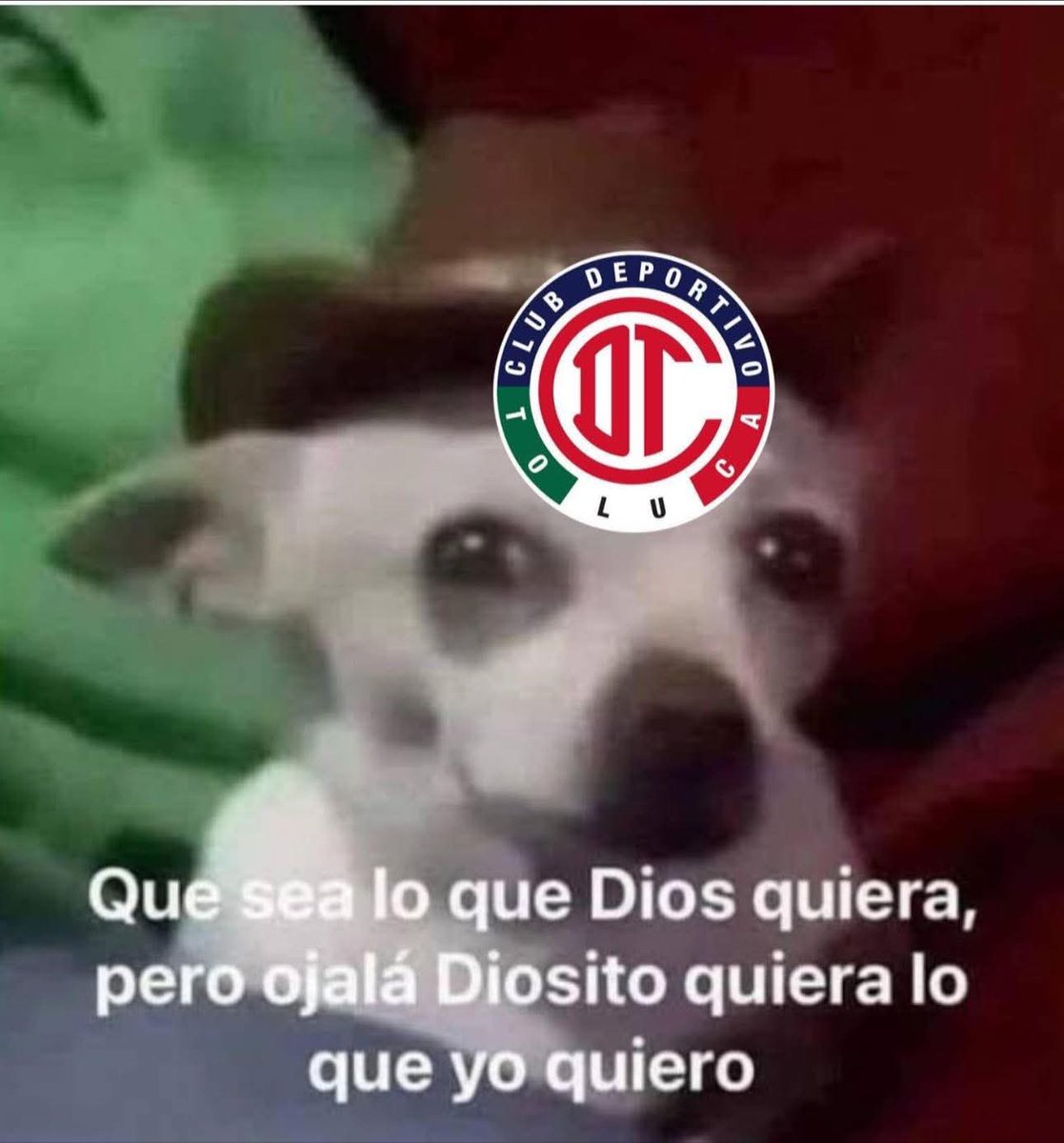 Dulce Cebrera tweet media