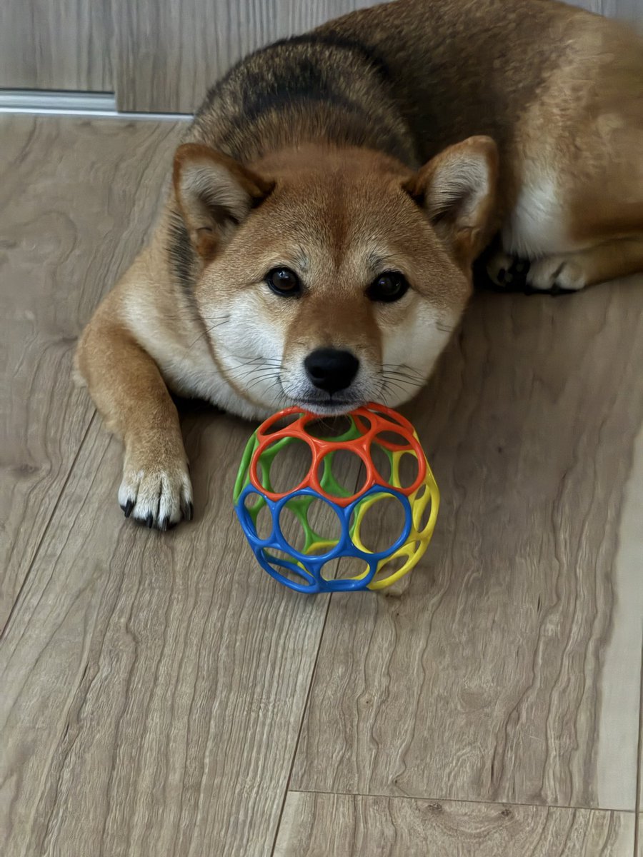 起きたらこれだった