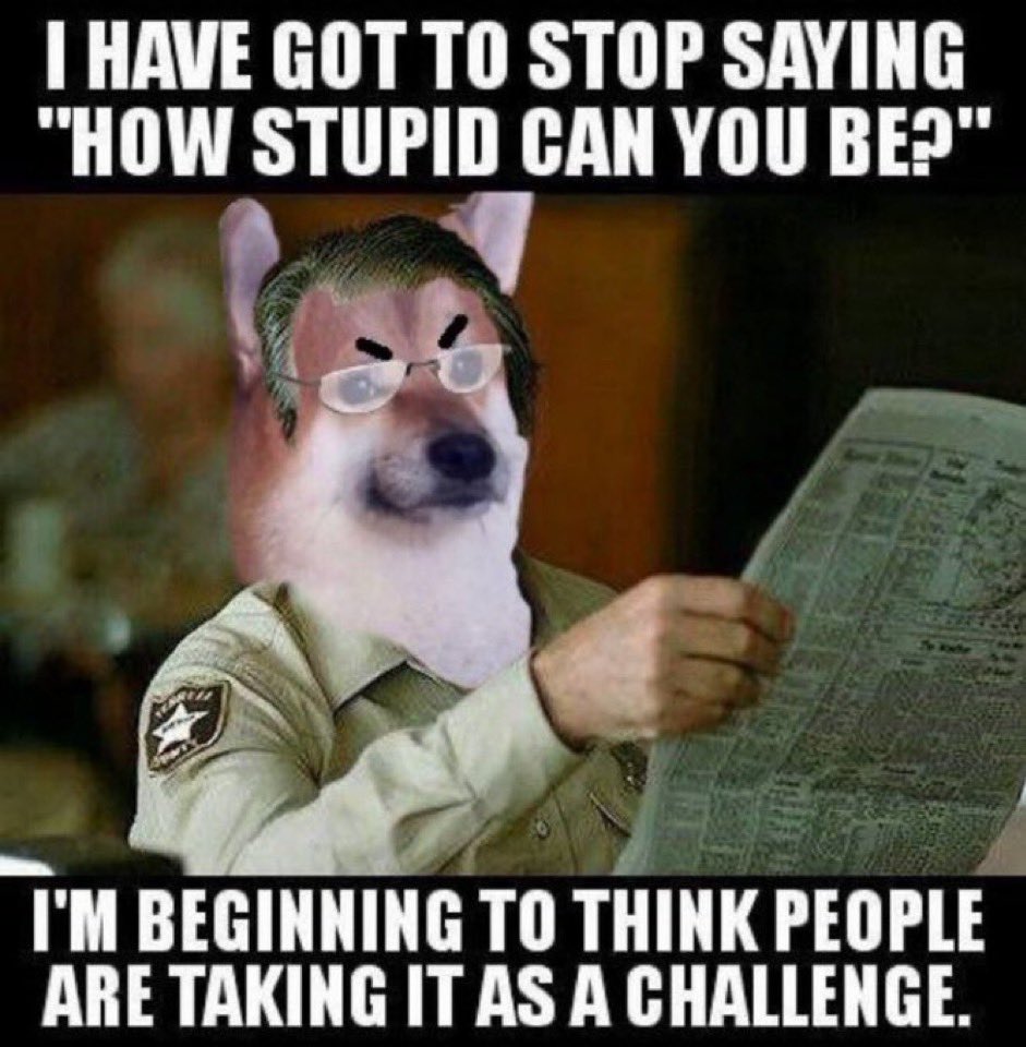 Dosbomber tweet media