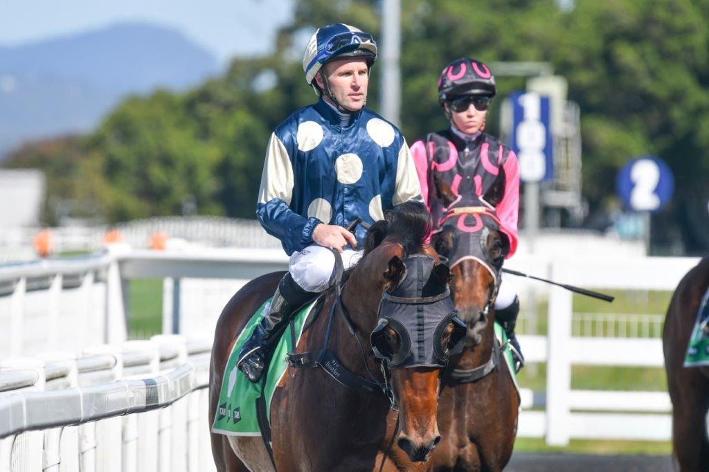 tonygollan's tweet photo. 💥TRACKSIDE WINNER OF THE WEEK 💥
Our #WinnerOfTheWeek presented by Trackside Photography is Daggers.
4yo gelding Daggers won the Benchmark 78 Handicap over 1400m at the Gold Coast on Saturday ridden by Tommy Berry & strapped by Fernando Pedraza Gallo. https://t.co/hKRRJe09Rd
