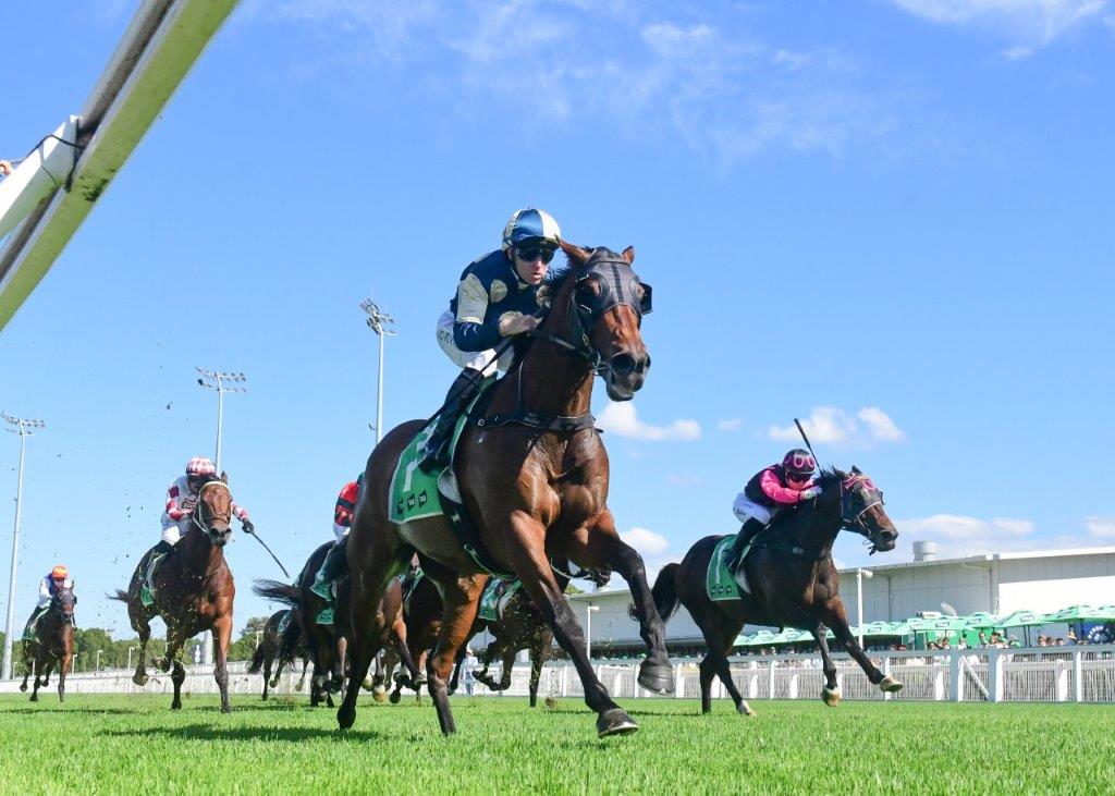 tonygollan's tweet photo. 💥TRACKSIDE WINNER OF THE WEEK 💥
Our #WinnerOfTheWeek presented by Trackside Photography is Daggers.
4yo gelding Daggers won the Benchmark 78 Handicap over 1400m at the Gold Coast on Saturday ridden by Tommy Berry & strapped by Fernando Pedraza Gallo. https://t.co/hKRRJe09Rd