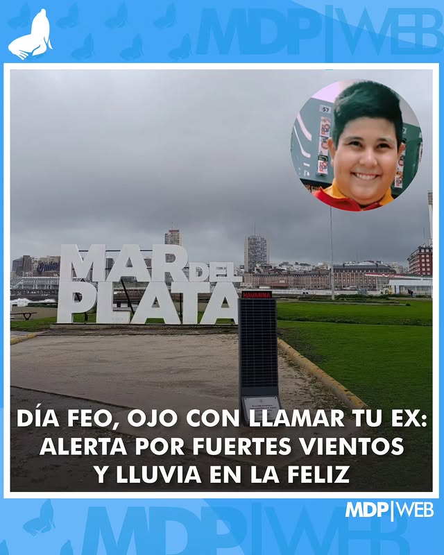 crowmarplatense 🐦‍⬛ tweet media