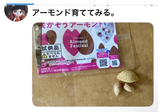 Sarah96048154's tweet photo. なんか出てきました🌱芽？雑草？ https://t.co/nRTwRNiYiP