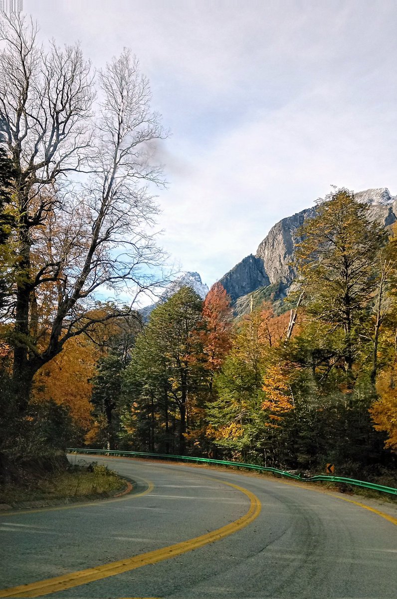 KiltroH's tweet photo. Bajando de Mamuil Malal a Curarrehue.

Todos, sin excepción, deberían hacer este trayecto en otoño, alguna vez en la vida... https://t.co/LuT7wxXtTK