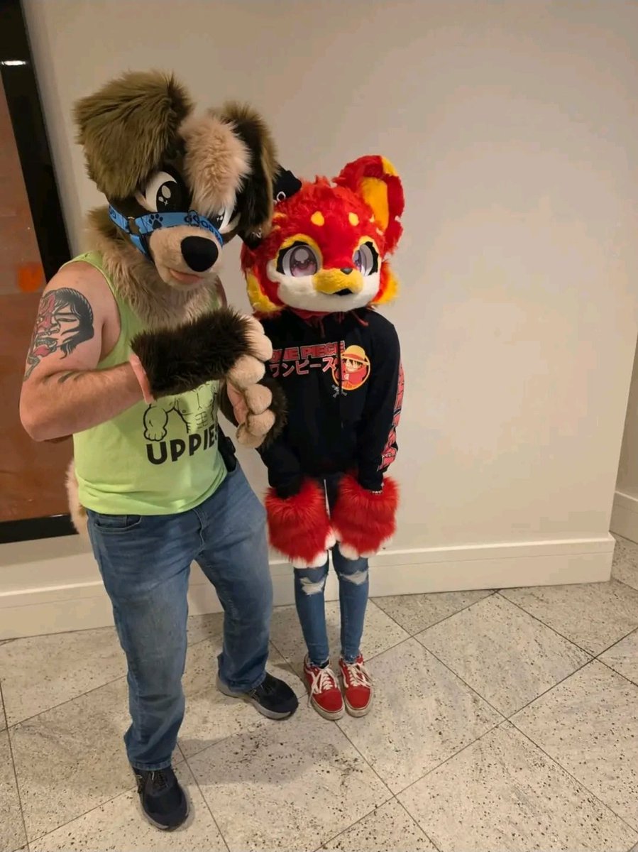 MaxumThePup's tweet photo. More from #fwa !! https://t.co/YbKfMuQmio