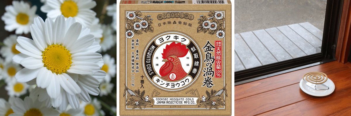 除虫菊の花の子房に含まれる天然殺虫成分「ピレトリン」は、虫には効く