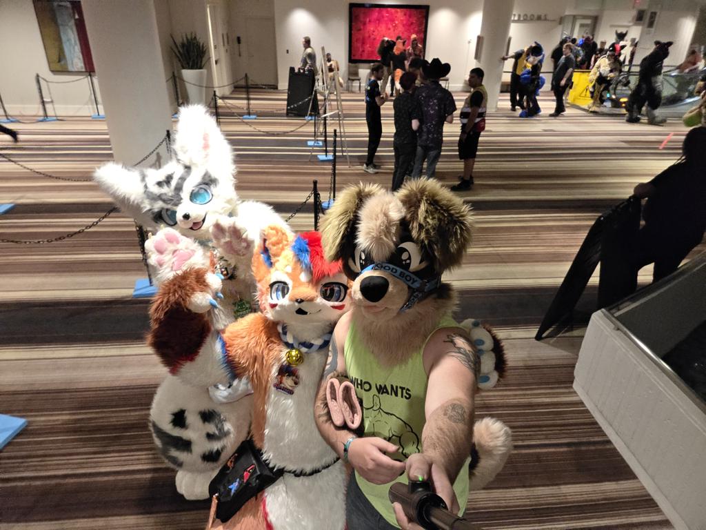 MaxumThePup's tweet photo. More from #fwa !! https://t.co/YbKfMuQmio