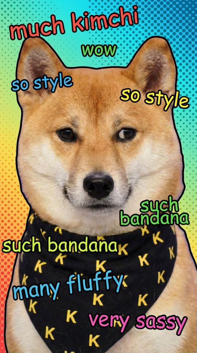 Kimchi is the Doge House companion repping the doge family. 

Much wow very doge such style very bandana