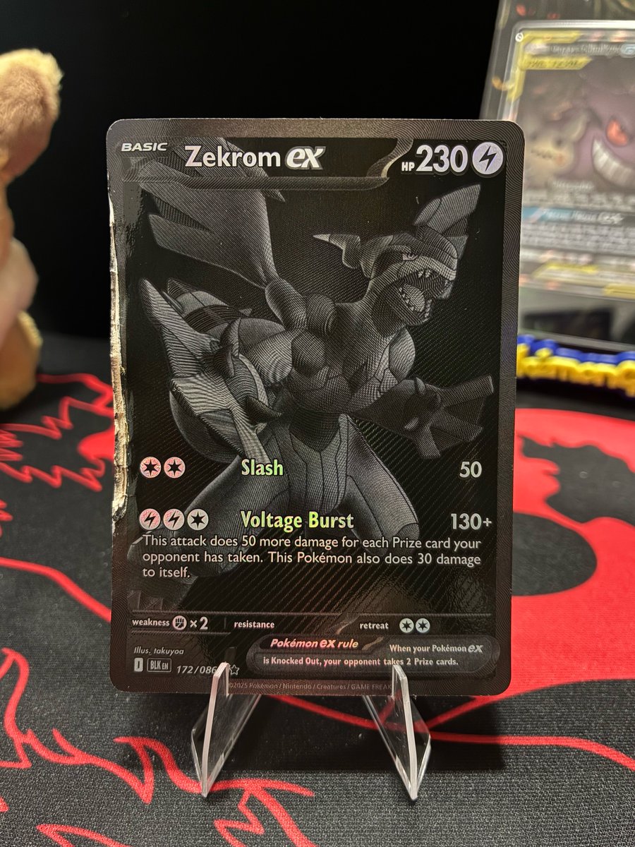 TheDamagedPokemonCollector tweet media