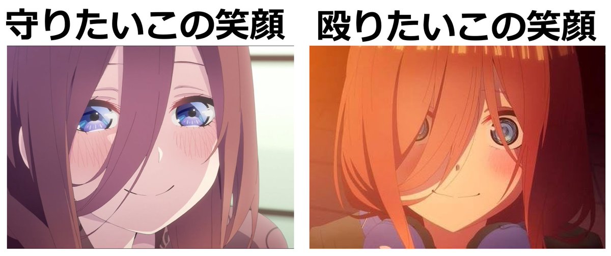 アニータ雑学【YouTube30万人】 tweet media