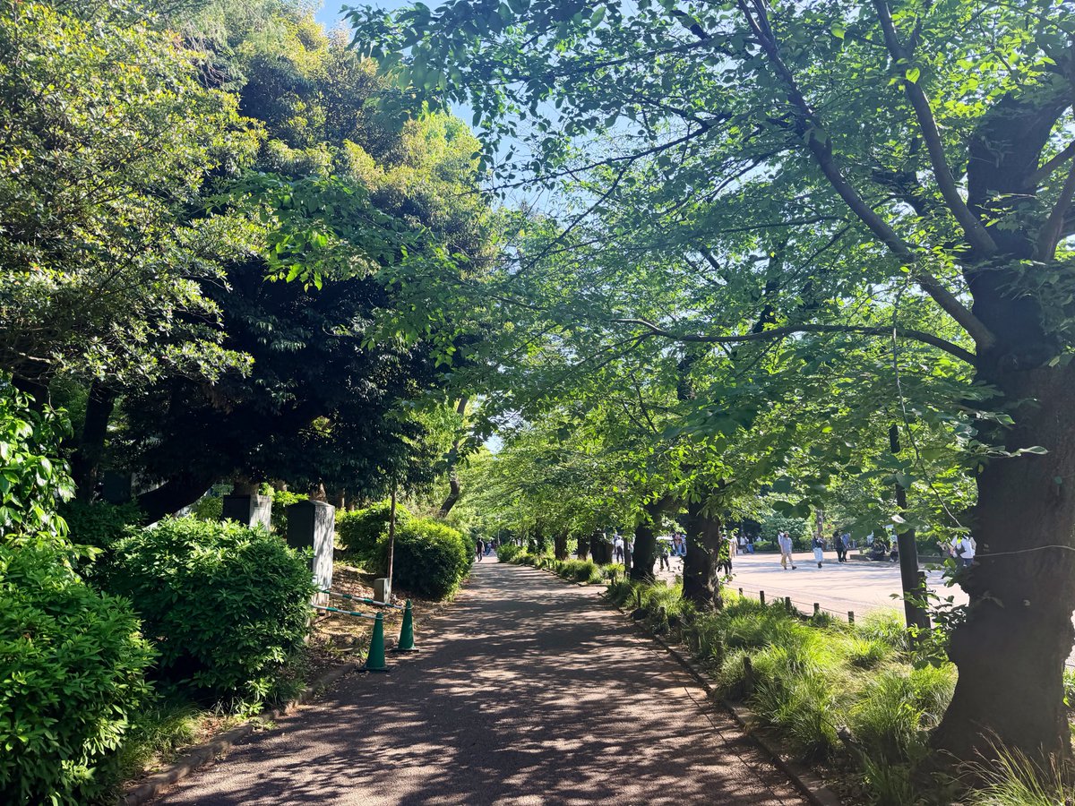 akc1130jp's tweet photo. 昨日の母の日🌹
引っ越したばかりでハンガー以外の物欲がわからなかったので、ハンガーをプレゼント🎁
早速クローゼット内の洋服のハンガーを取り替えてくれて喜んでくれてました❣️
いつまでも健康で、オシャレを楽しむ母で居て欲しいな👗
両親に中華料理もご馳走できたし、幸せな一日でした🍽️💕 https://t.co/fXMkCGZBzM