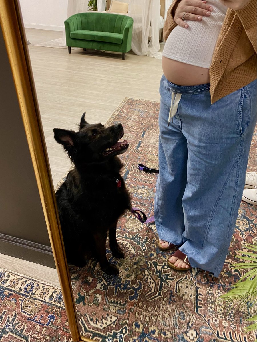 animalloryy's tweet photo. both my girlies in 1 photo 🐾💕 https://t.co/WWpOCm3JZ8