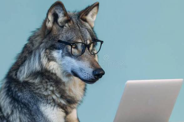 Wolf tweet media