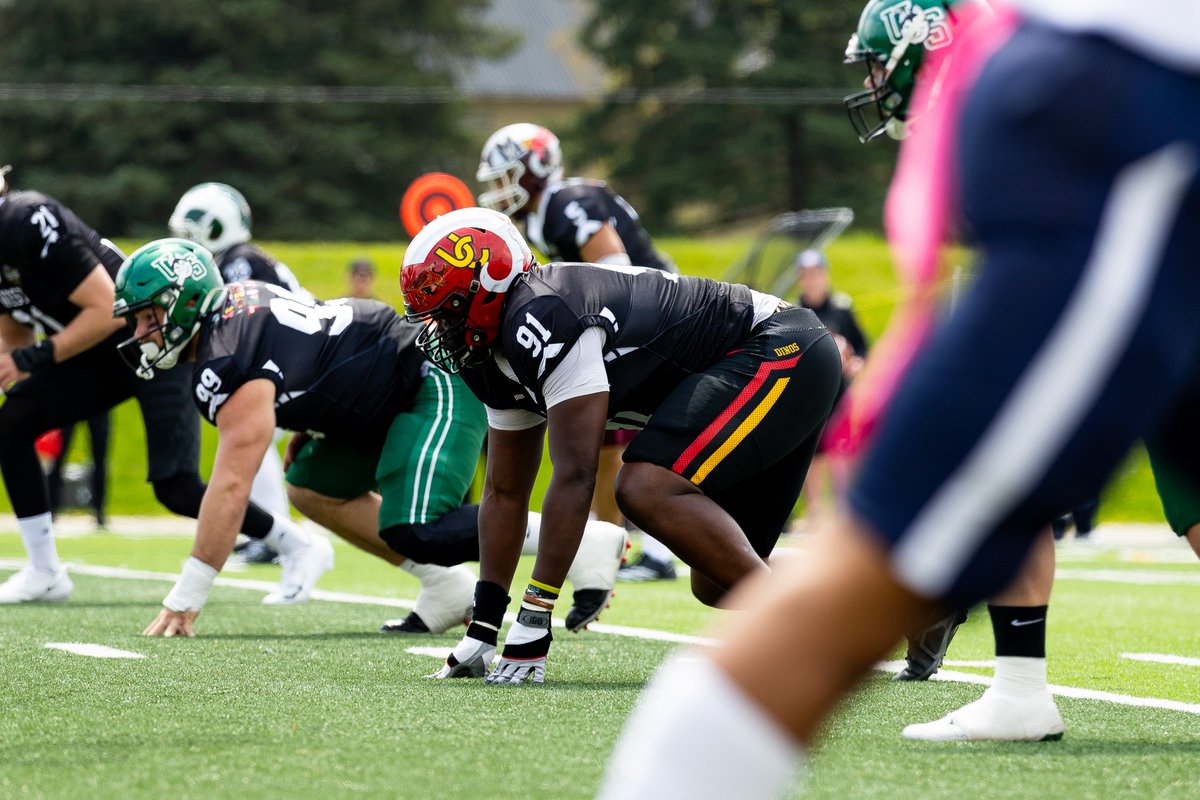 UCalgary Dinos Football 🏈 tweet media