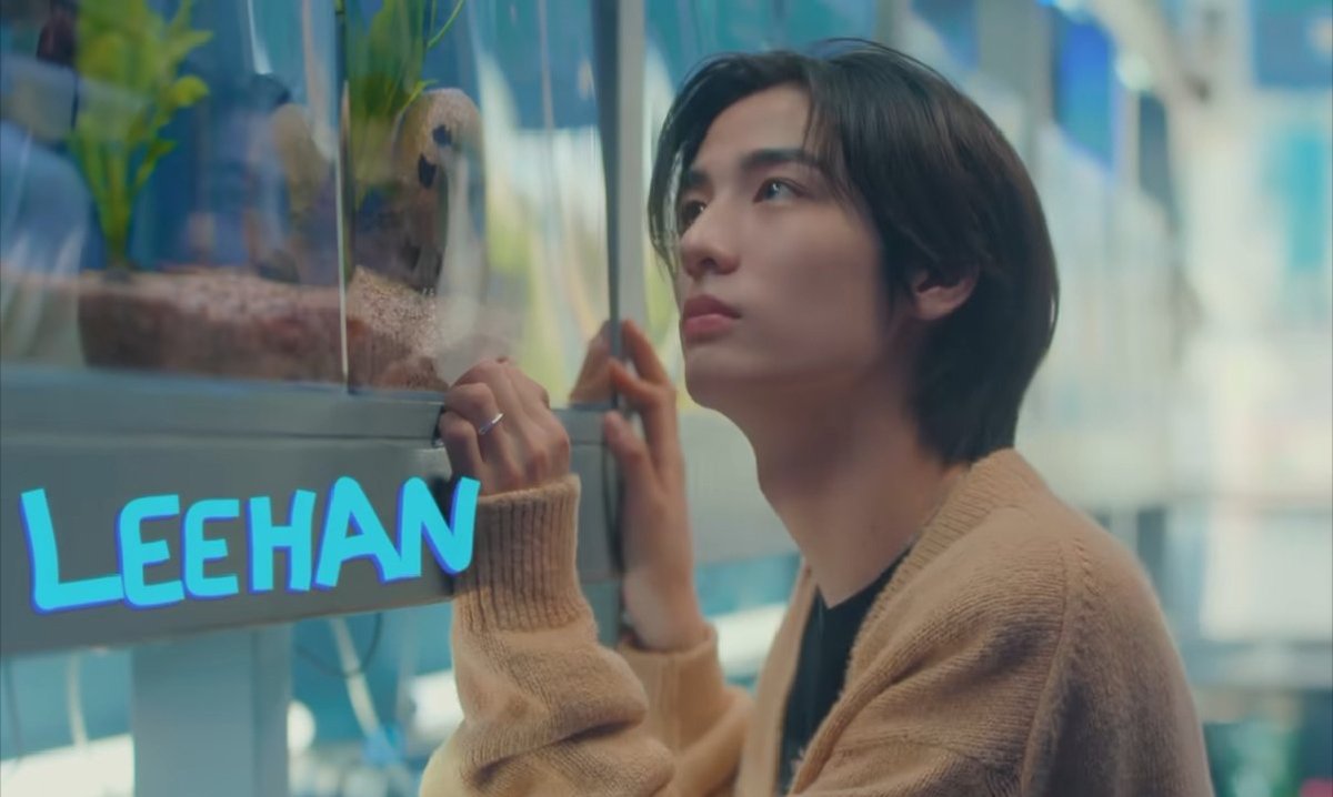 별han finding home 🦁 ☆ tweet media