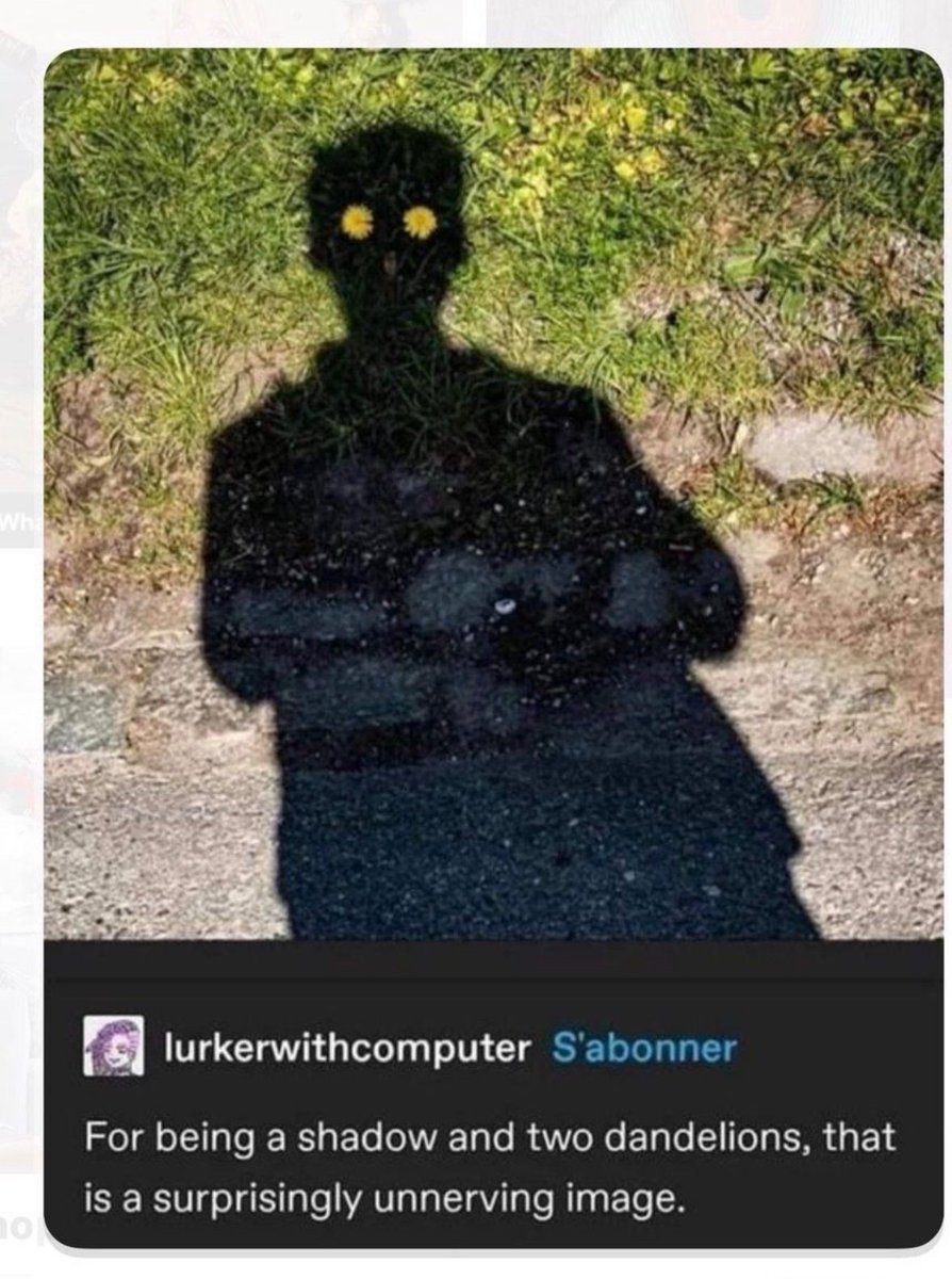 Respectful Memes tweet media
