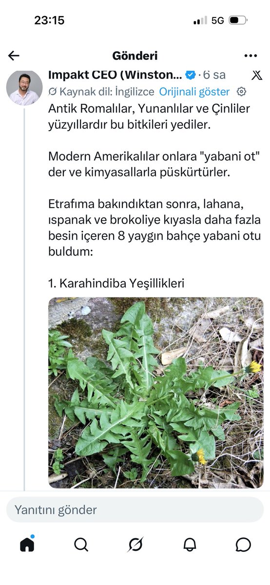 karmuhsin's tweet photo. Karahindiba,
Semizotu
Kuzu Kulağı
Isırgan otu 

Çoğu zaman zehirli ilaçlarla bahçelerde yok edilmeye çalışan bu bitkiler besin ve vitamin deposu. https://t.co/9pwqSN29qP