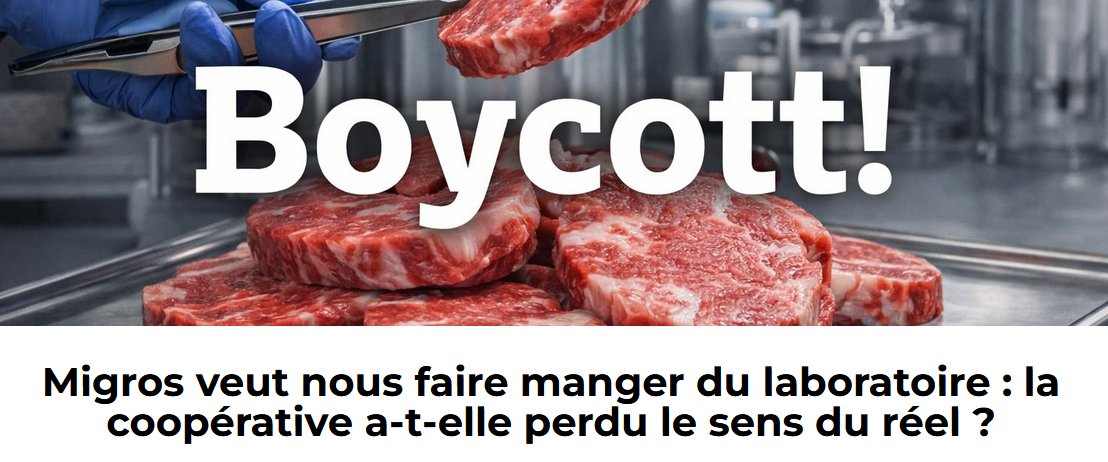 Migros está provocando polémica en Suiza por su apuesta por la “carne de laboratorio”. La gran cooperativa suiza participa en un proyecto para producir filetes sin animales, cultivados a partir de células en biorreactores, junto a la empresa Aleph Farms y el grupo Givaudan.

La