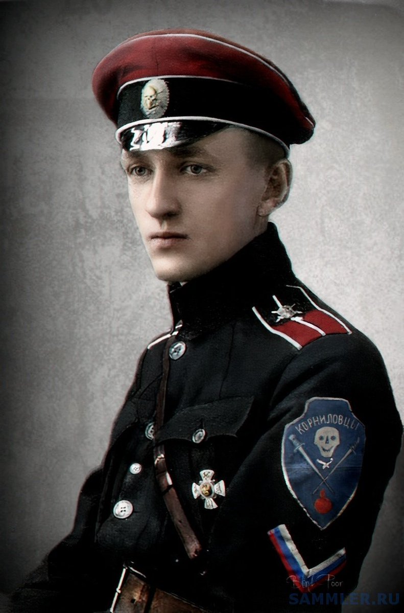Stern/Штерн🇩🇪 tweet media
