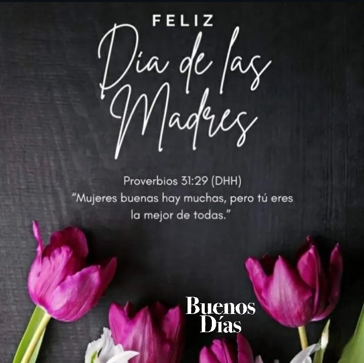 Oct Nava 🎙 tweet media