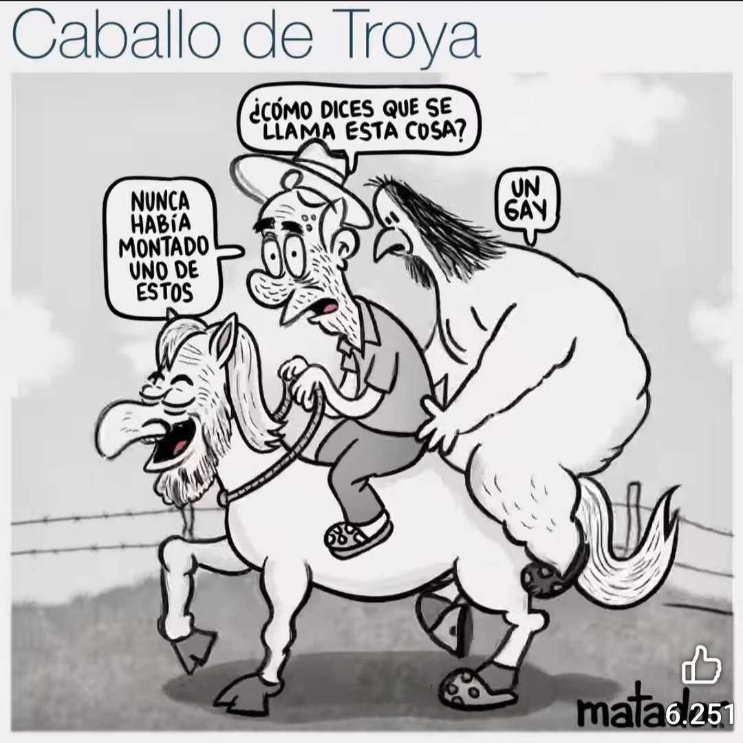 analista 2024 tweet media