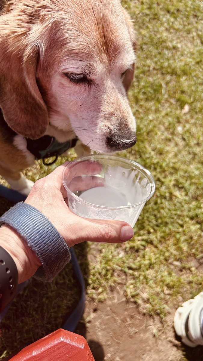 Mason BFP 🐞and 😇 Millie 🌈 tweet media