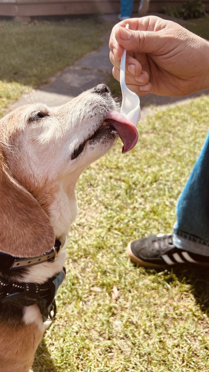 Mason BFP 🐞and 😇 Millie 🌈 tweet media