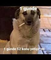 yenicherry tweet media