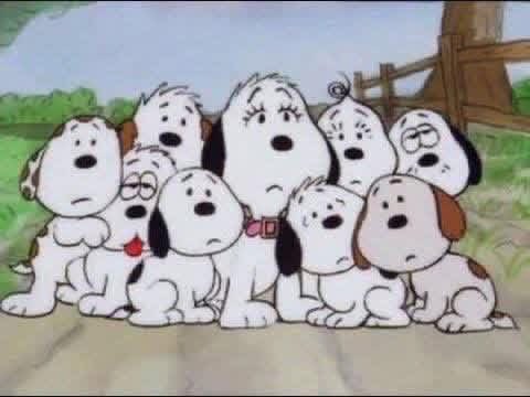Y hablando del #DíaDeLaMadre 

Ella es Doña Missy, o también conocida como la Mamá de Snoopy.
