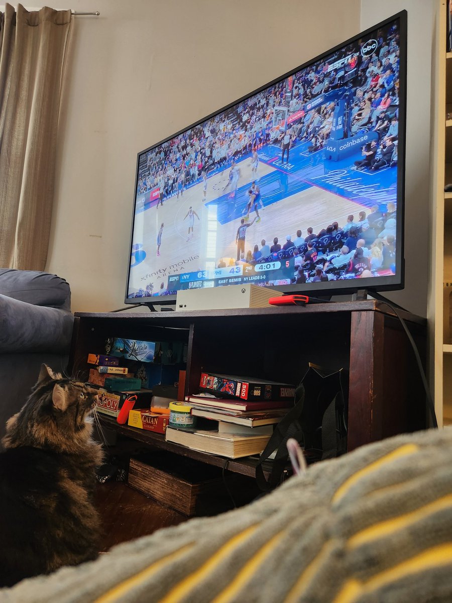 _silverlichen's tweet photo. zoya is a Knicks fan https://t.co/haC2XXCUQA