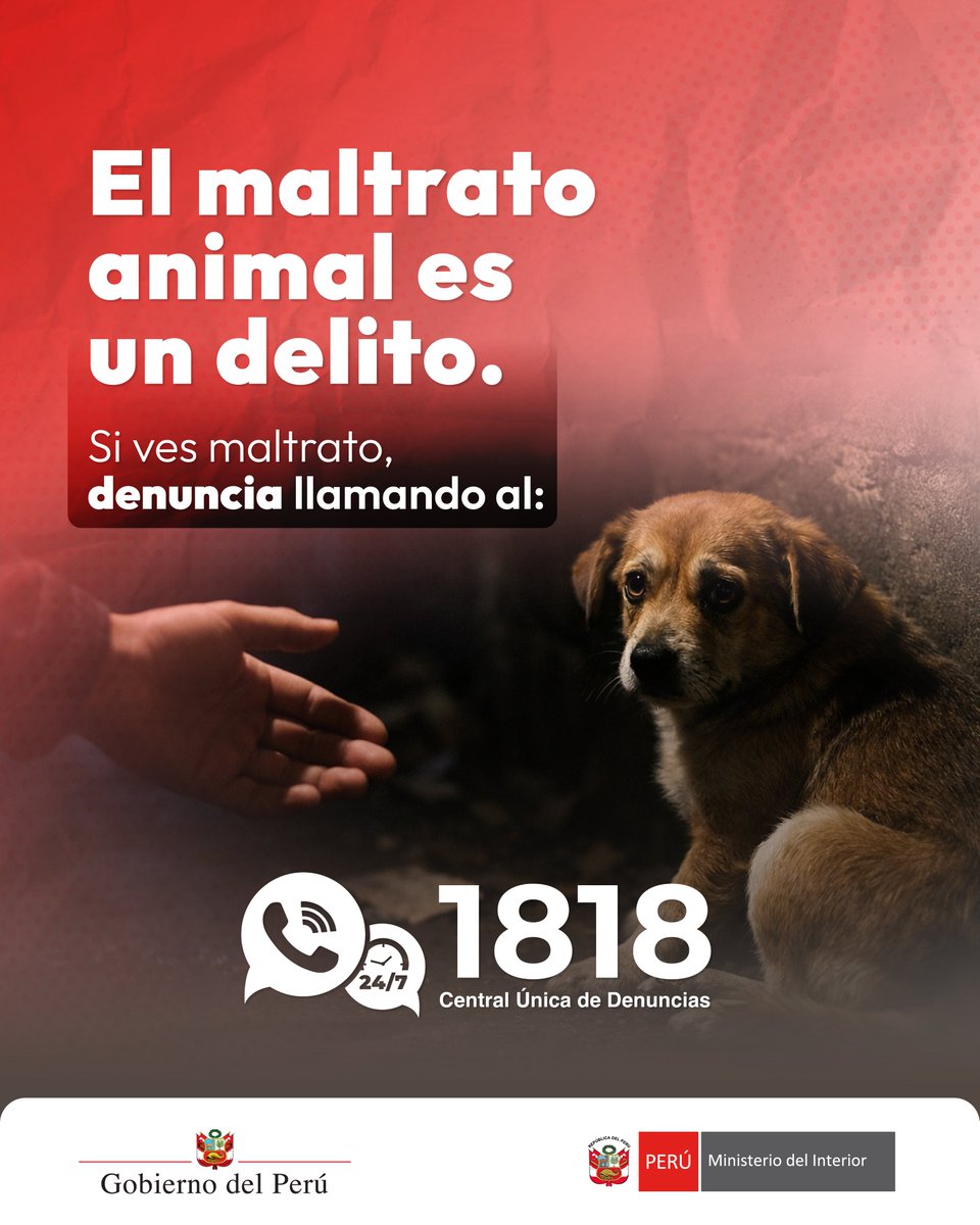 Los animales merecen respeto y protección.
Si presencias maltrato, denúncialo.

📞Línea gratuita 1818  
#SúmateyDenuncia