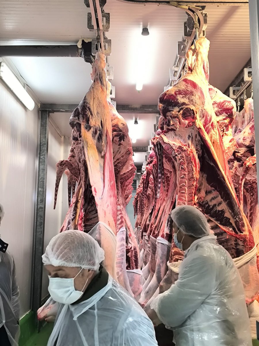 urcacyl's tweet photo. A pesar del mal tiempo, gran éxito de la jornada de puertas abiertas de la Coop. @DehesaGrande #campo #dehesa #cebadero #terneros #matadero https://t.co/IoPkdUJPEx