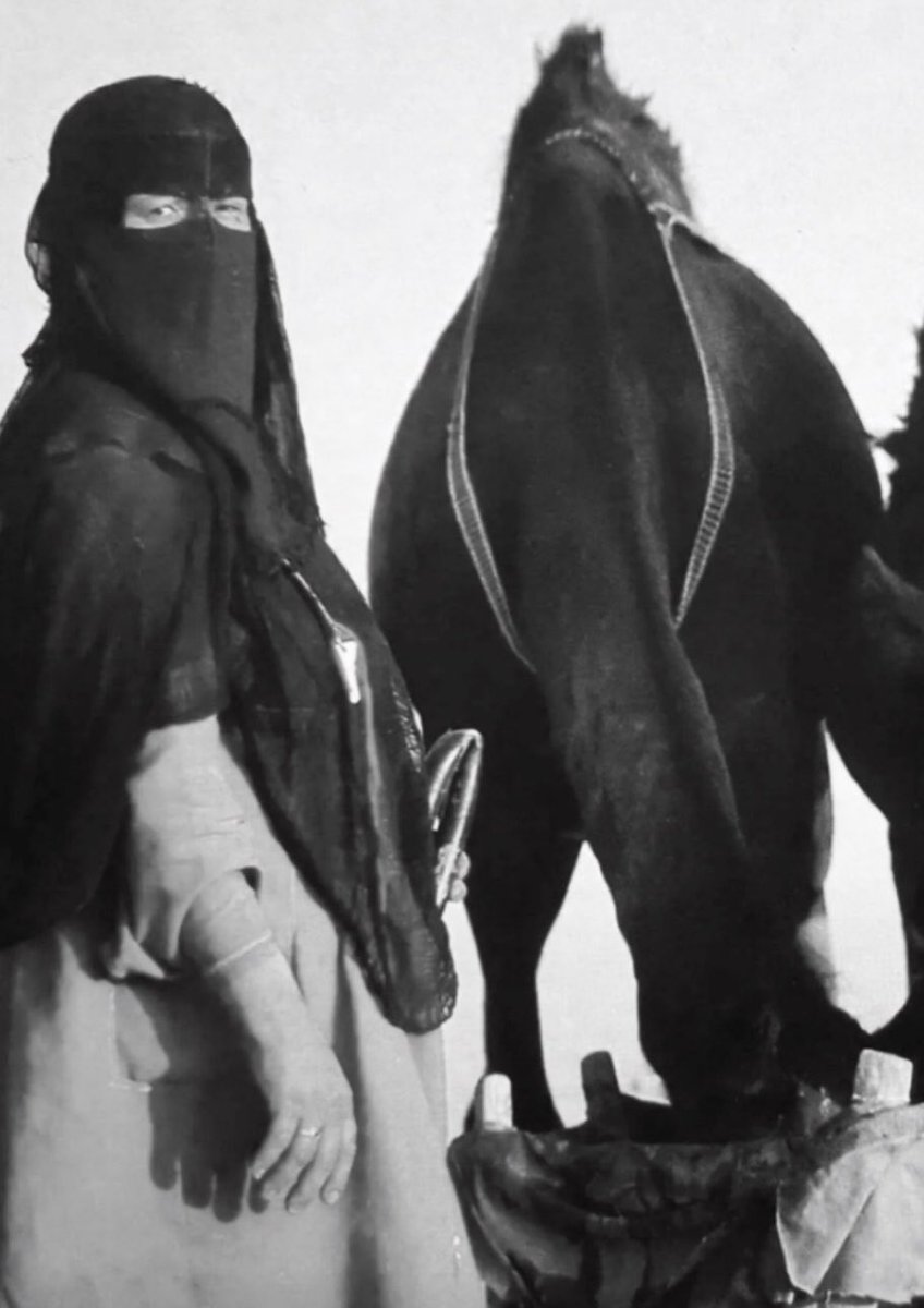 Qhta10ni's tweet photo. وان صرت خيال تخير من الخيل
   دور على قب المهار الاصيله https://t.co/JhEF6a7lyC