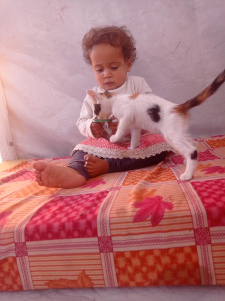 🇵🇸 🥀Asser sewar From Gaza🕊️𓆎𓅓𓏏𓊖 tweet media