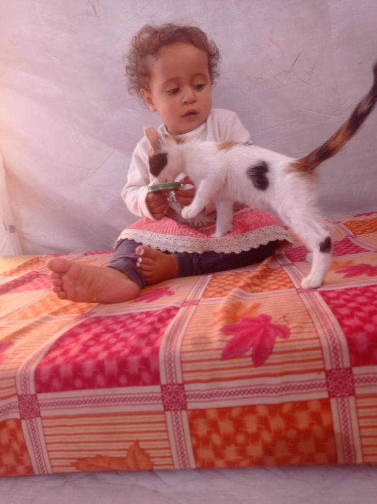 🇵🇸 🥀Asser sewar From Gaza🕊️𓆎𓅓𓏏𓊖 tweet media