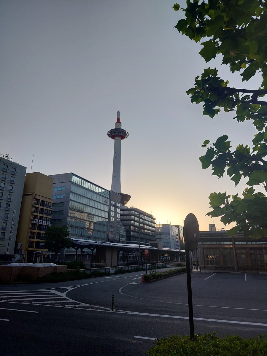 gunstan1984's tweet photo. モーニンググローリー https://t.co/HzOJTtMz1W