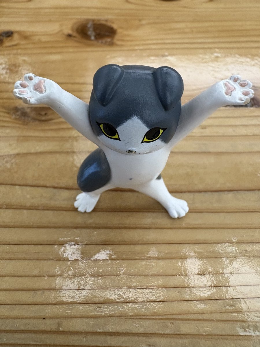コロ😸マルチライセンス診断士 tweet media