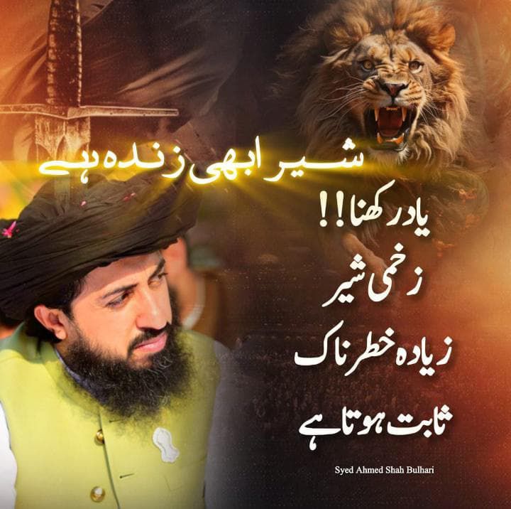 Rafia Baloch tweet media