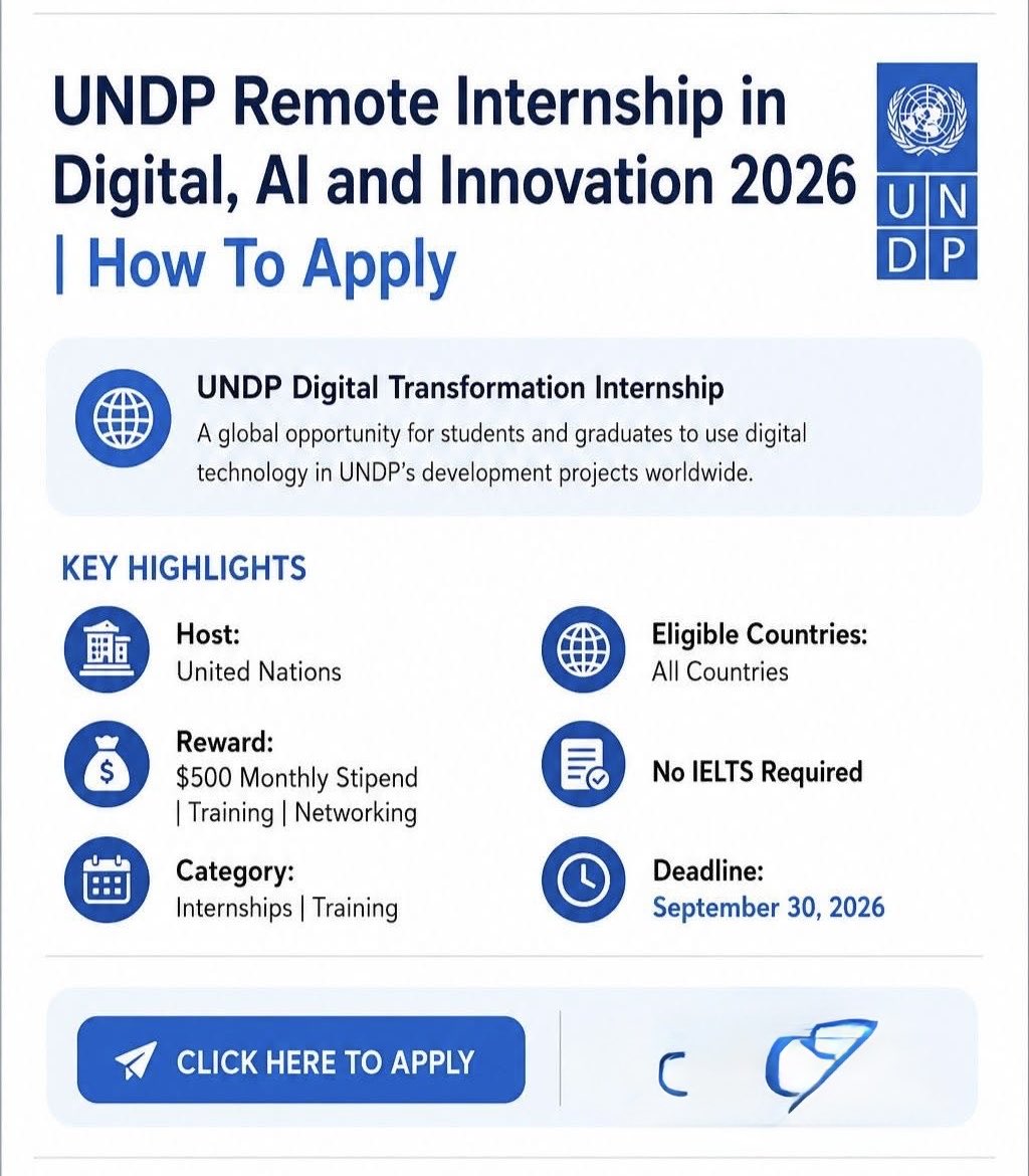 UNDP is offering a remote internship in Digital, AI and Innovation for ...