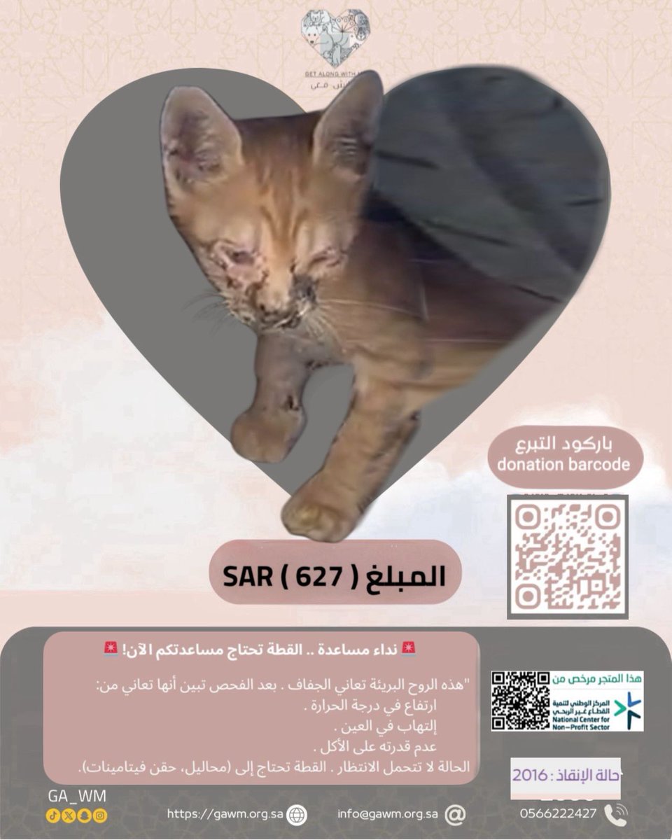GA__WM's tweet photo. 🚨 نداء مساعدة .. القطة تحتاج مساعدتكم الآن! 🚨

"هذه الروح البريئة تعاني الجفاف . بعد الفحص تبين أنها تعاني من:
1️⃣ ارتفاع في درجة الحرارة .
2️⃣ إلتهاب في العين .
3️⃣ عدم قدرته على الأكل .
الحالة لا تتحمل الانتظار . القطة تحتاج إلى 
(محاليل، حقن فيتامينات). 
https://t.co/M0gAJ92yBL https://t.co/HGc3cFRE8X