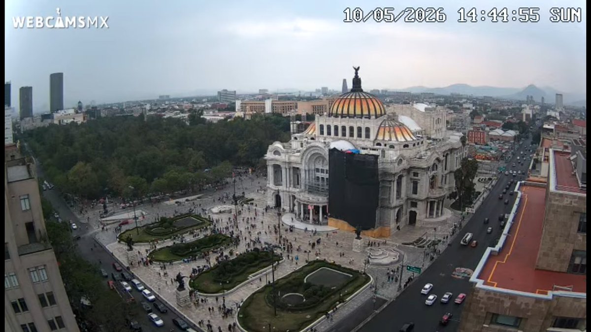 Webcams de México tweet media
