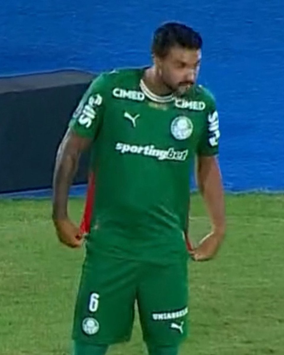 Palmeiras da Depressão tweet media